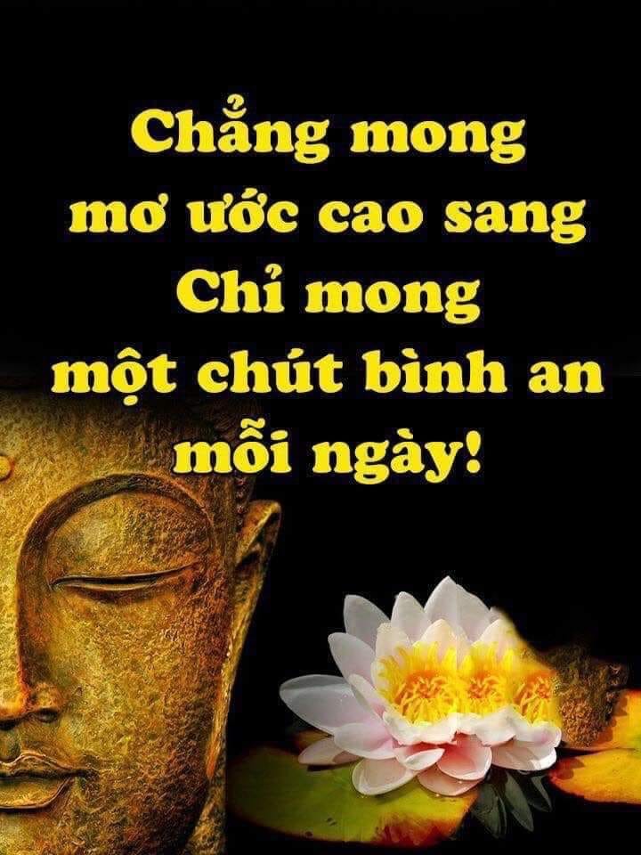 01DE71D8-907B-4C9C-A149-4BEC3E01BBB4.jpeg