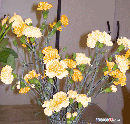 0272_01.gif