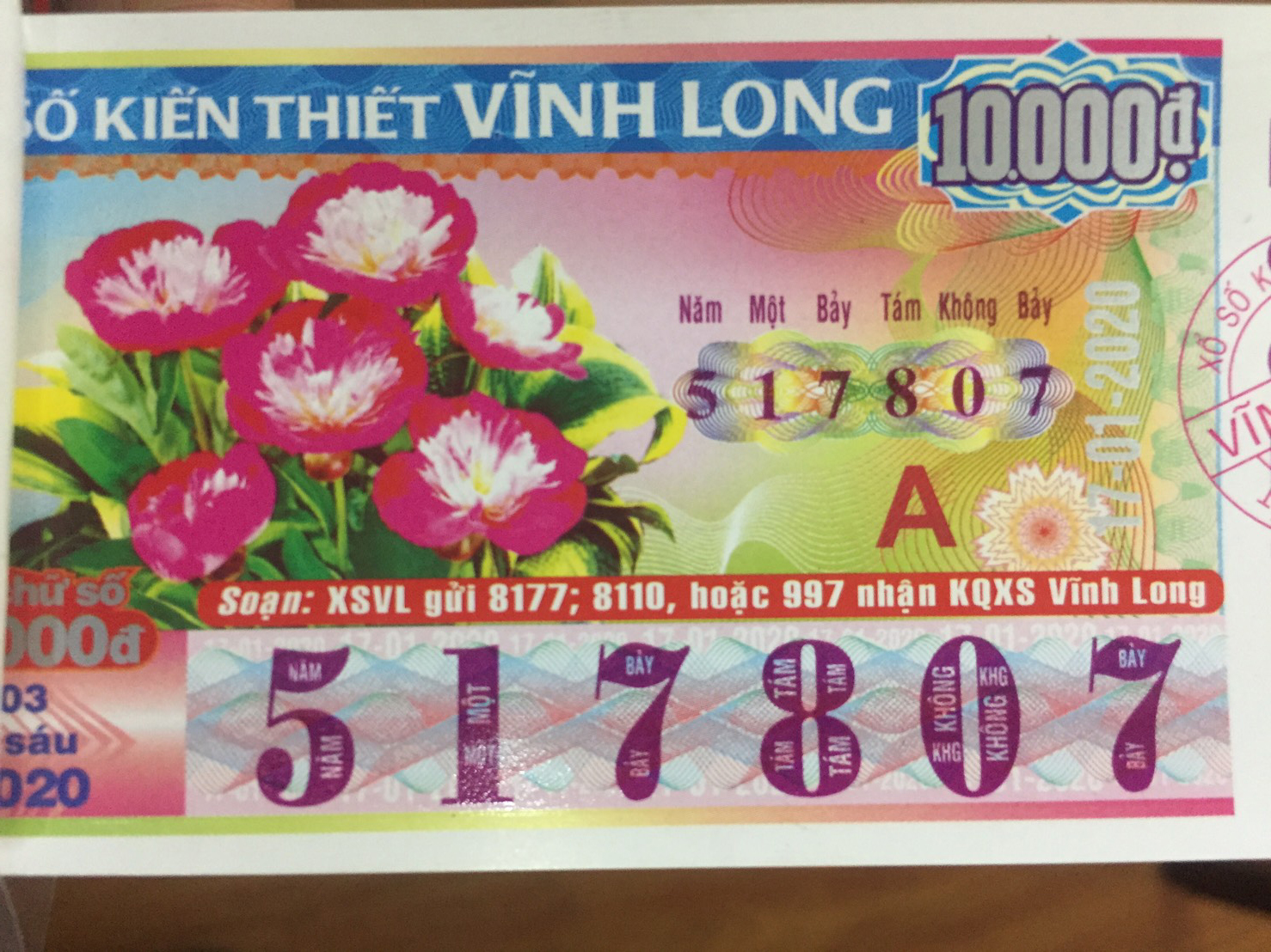 11272033889532.jpg