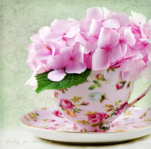114743-Cup-Of-Pink-Flowers.jpg