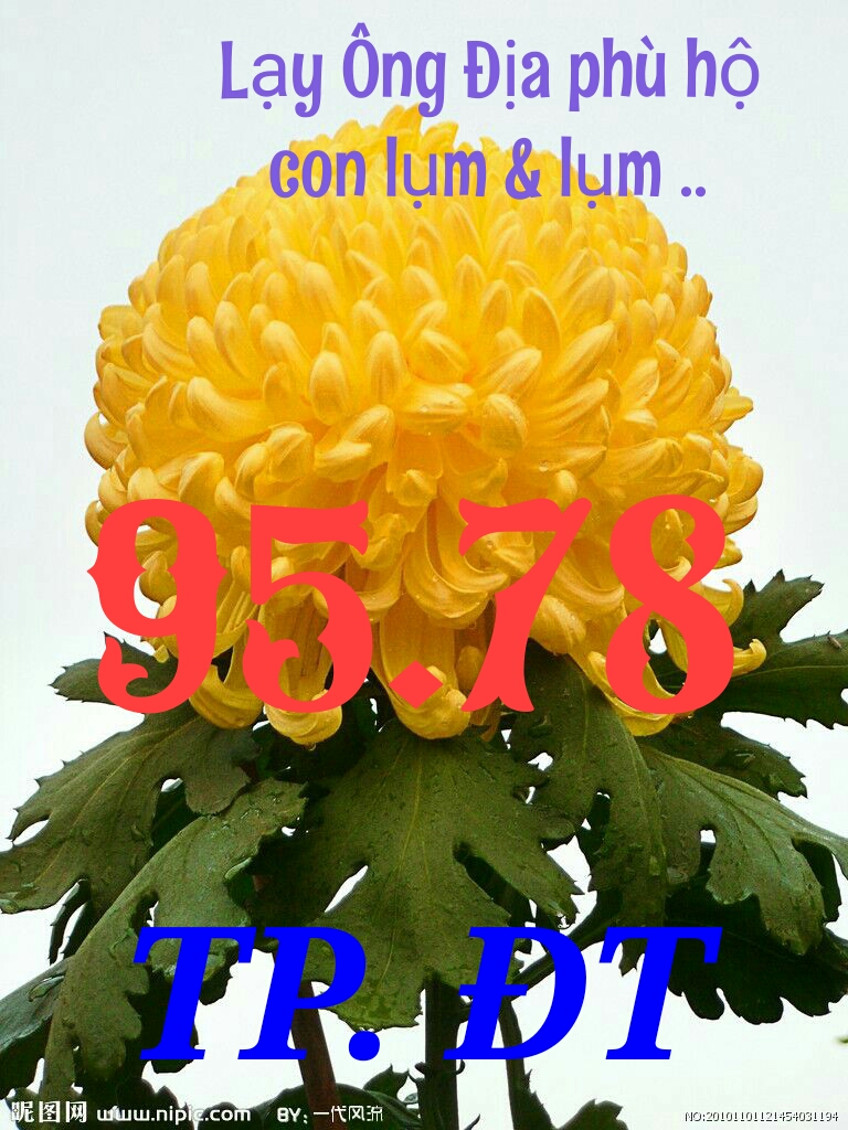 1489998089562.jpg