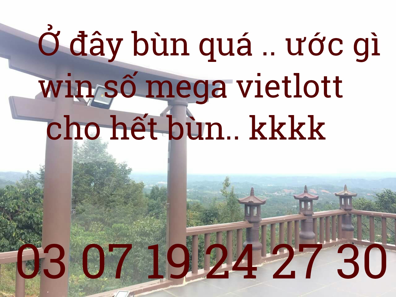 1490945596051.jpg