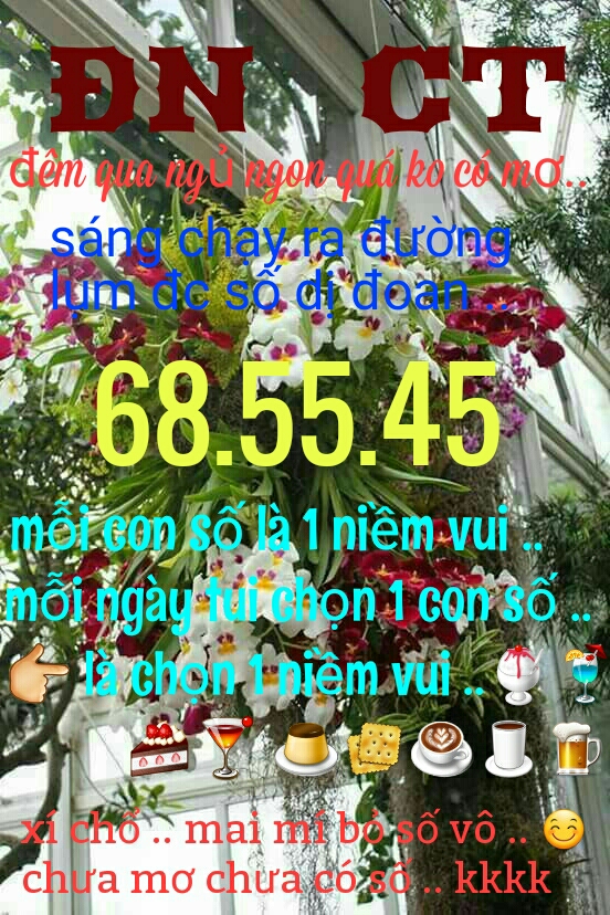 1491362216958.jpg