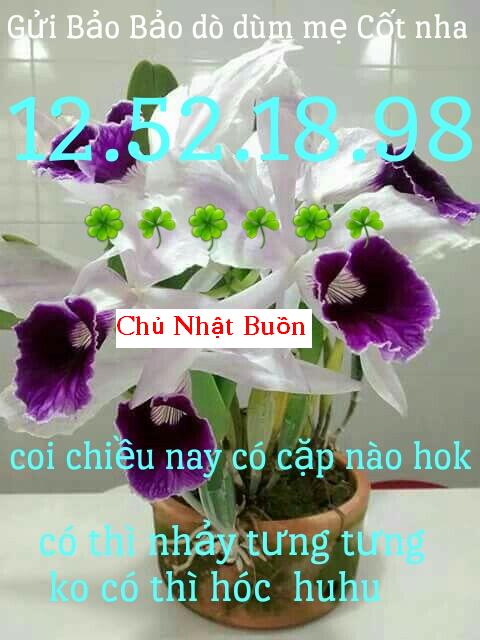 1491718338758.jpg