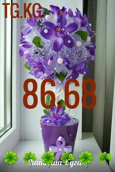 1492270104691.jpg