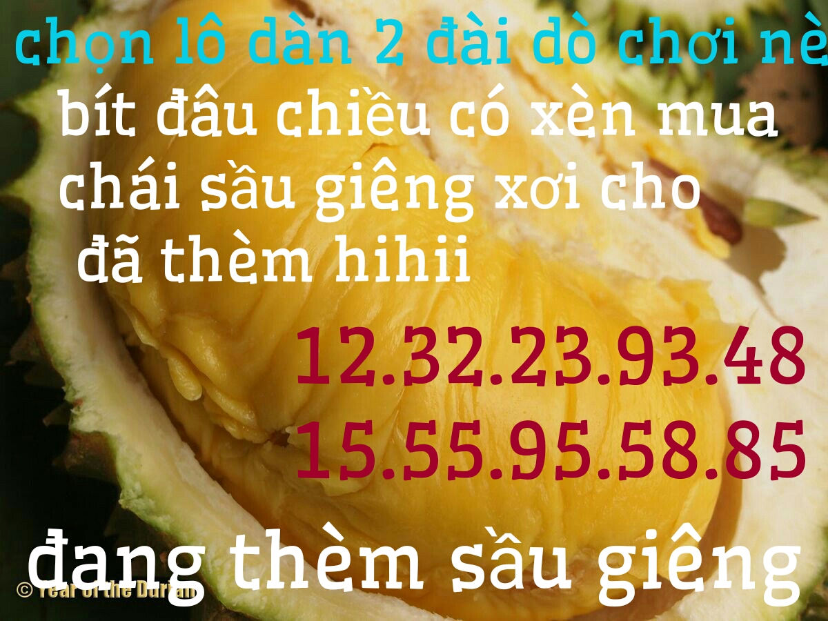 1492585675664.jpg