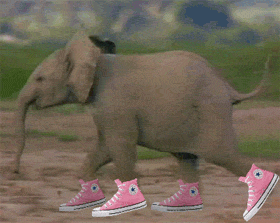 15-12nhung-hinh-anh-dong-hai-huoc-cuc-ki-vui-nhon7.gif
