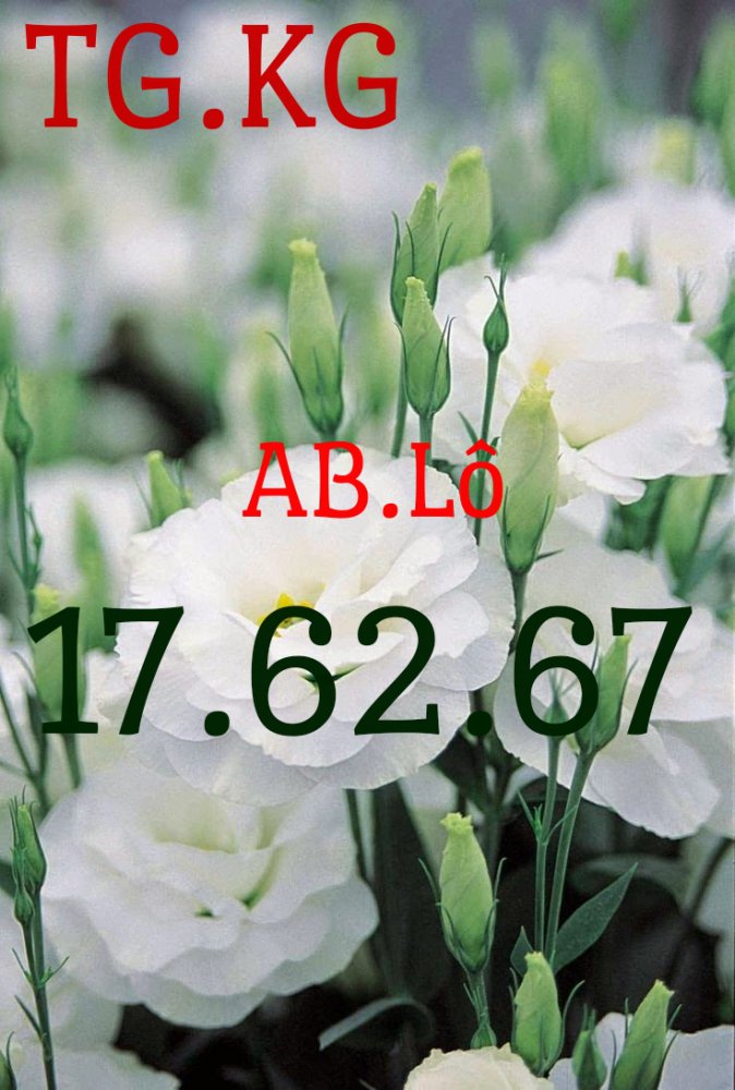 1507452718885.jpg