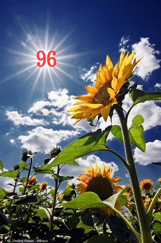 1511168232562.jpg