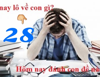 1511689424910.jpg