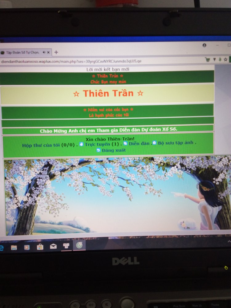 1512621394991-472826635.jpg