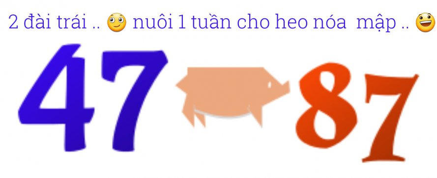 1530208257122.jpg