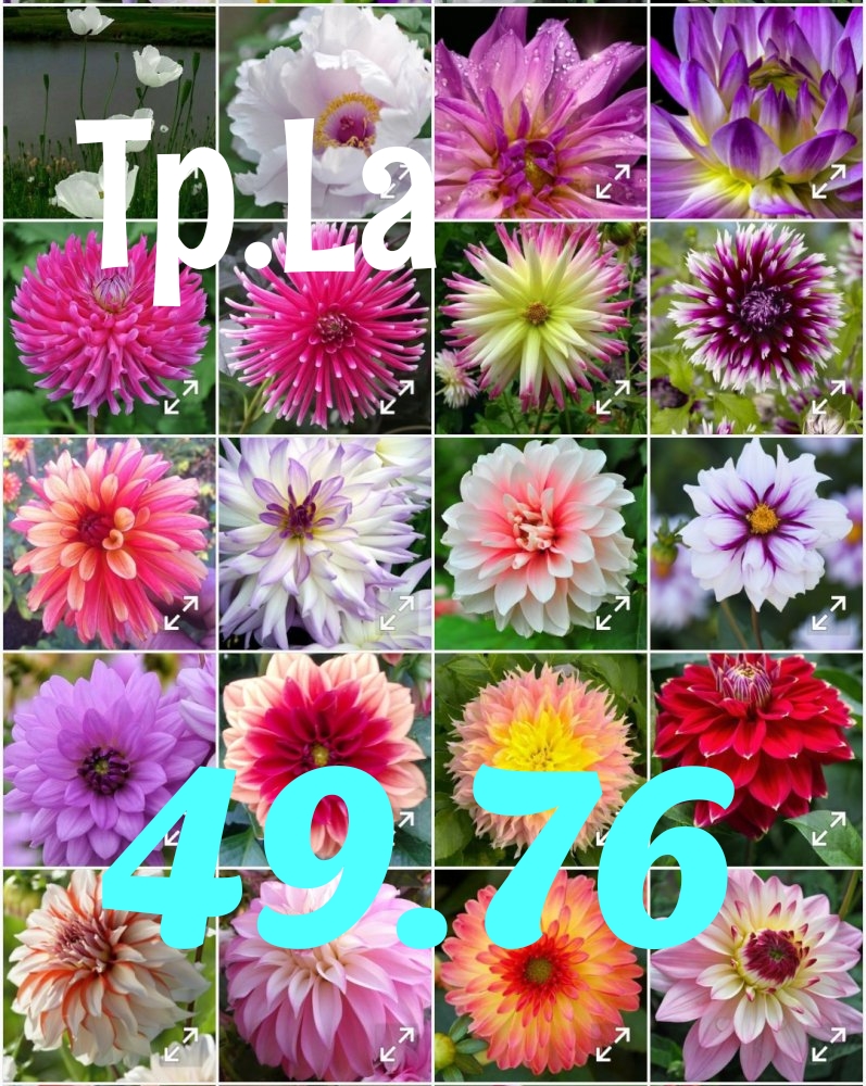 1540571937979.jpg