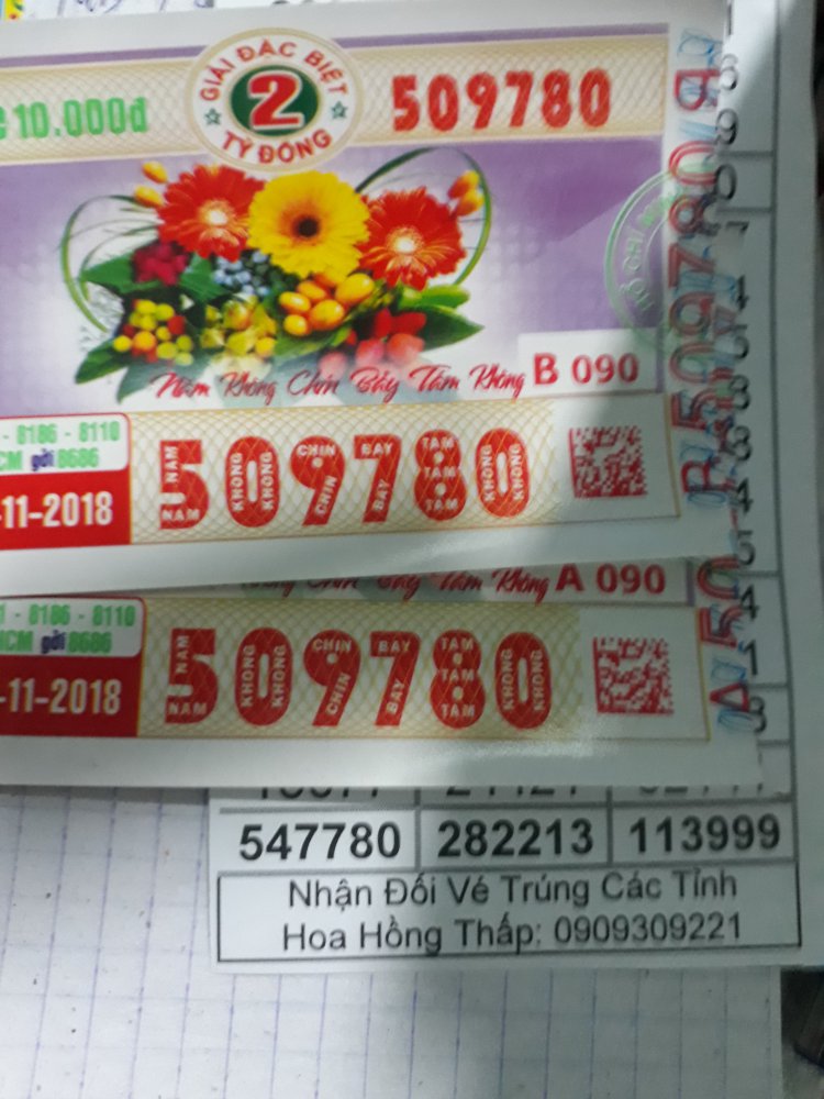 15418468020661073362423.jpg