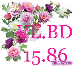 1586glitterfy6014818200B81.gif