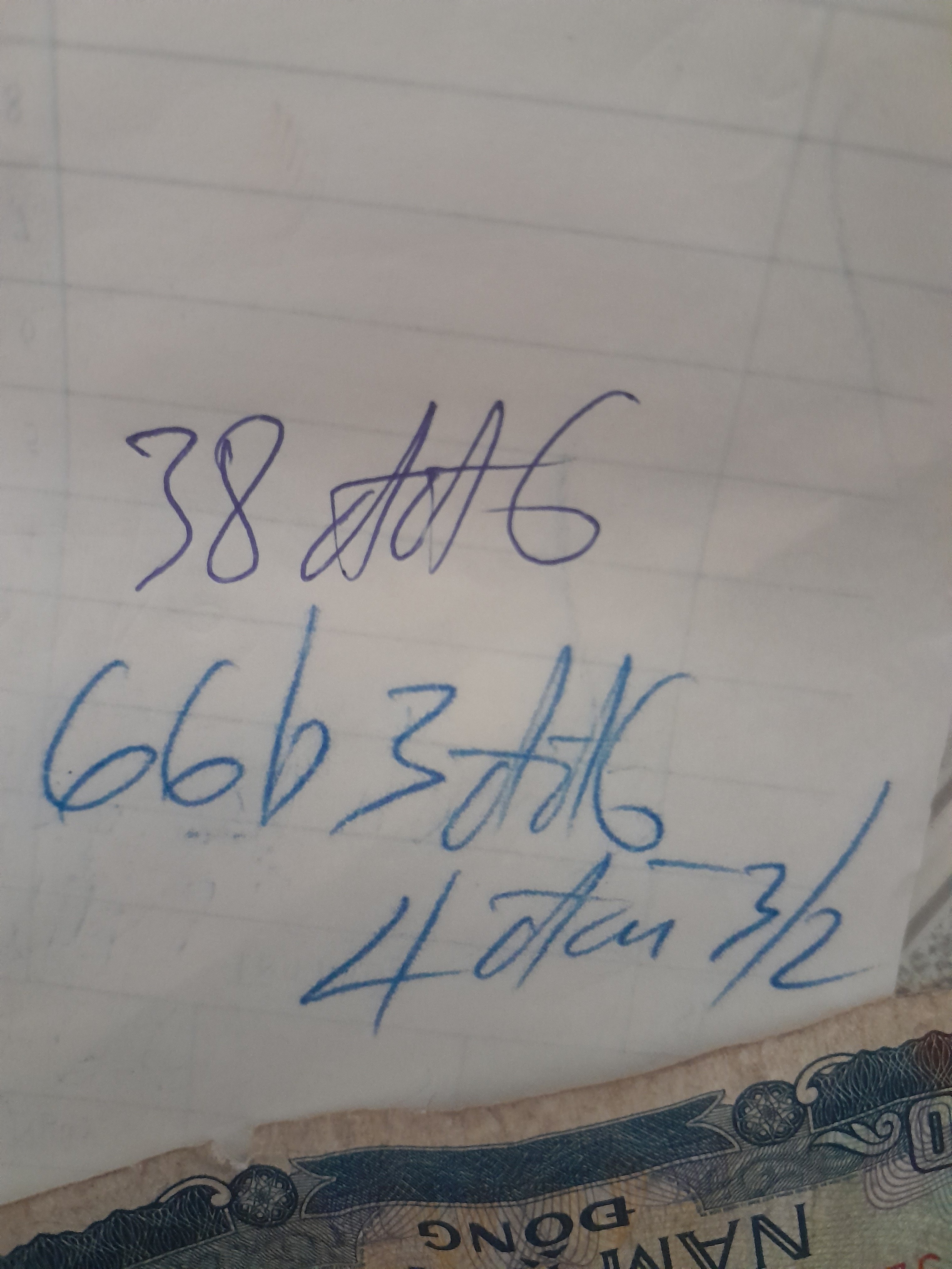 17069537524828798585253531496194.jpg