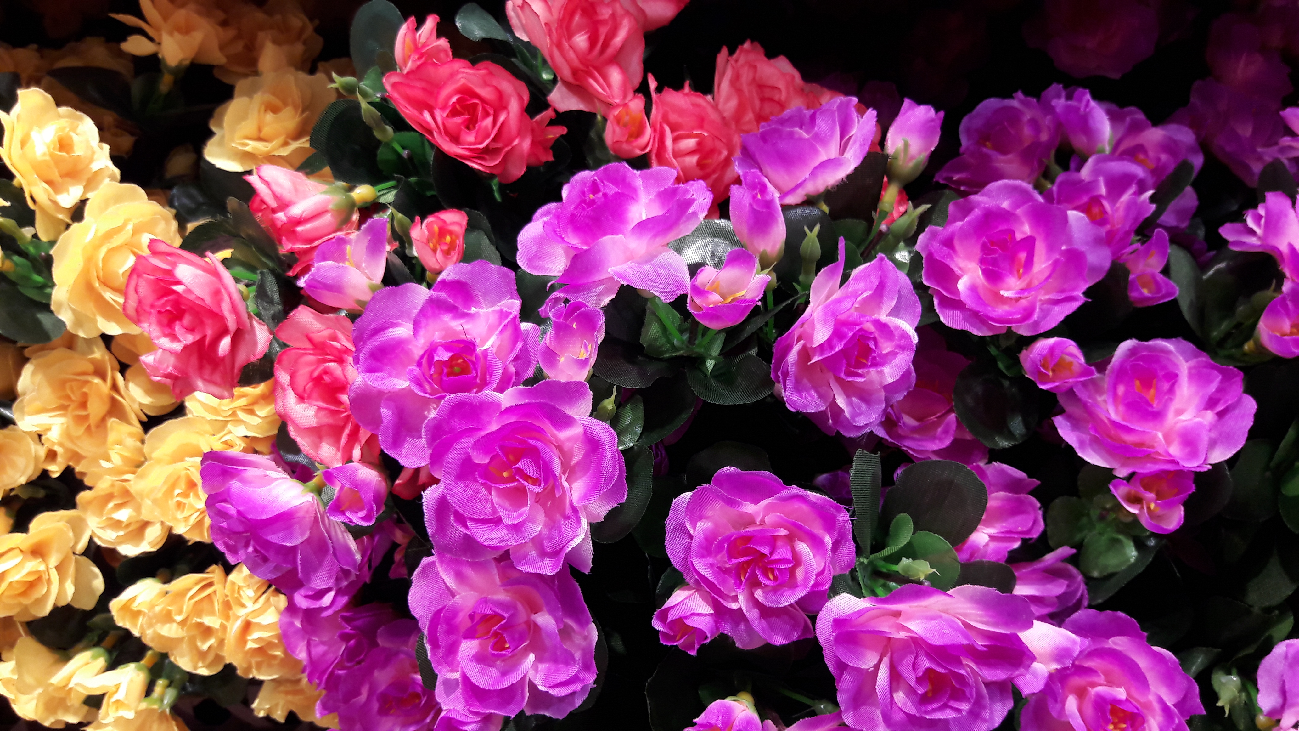 20160716_203728.jpg