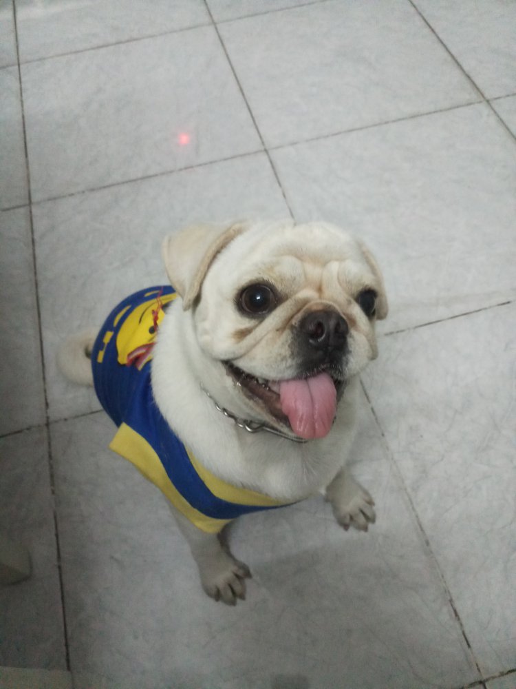 20171113_185746.jpg