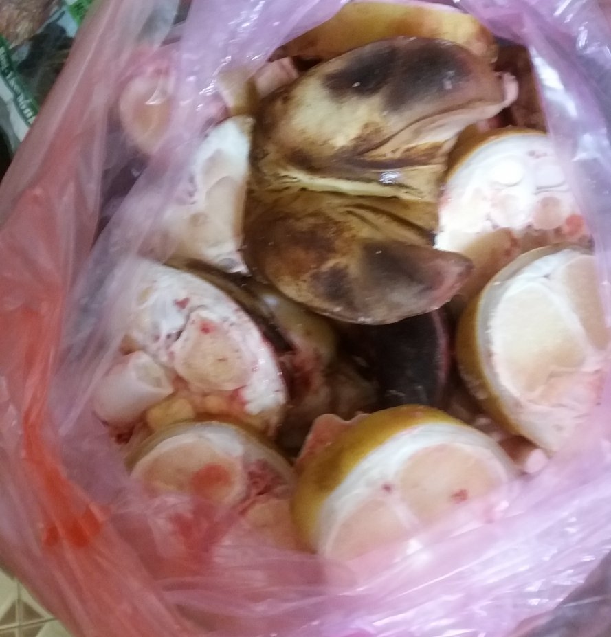 20180420_104312.jpg