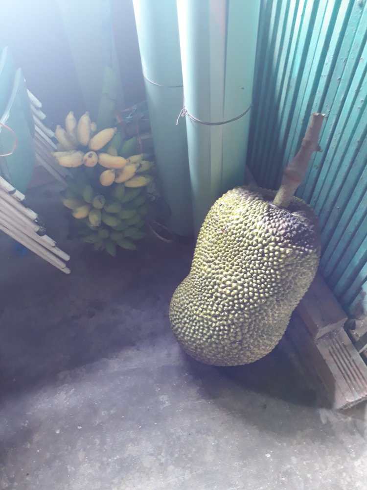 20180429_091929.jpg
