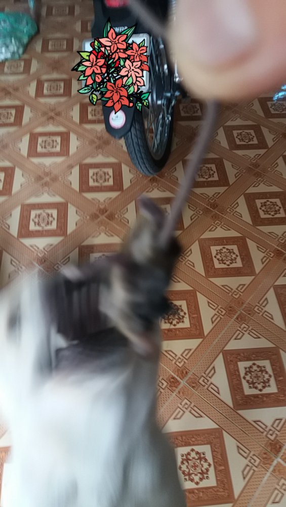 20180508_100004.jpg
