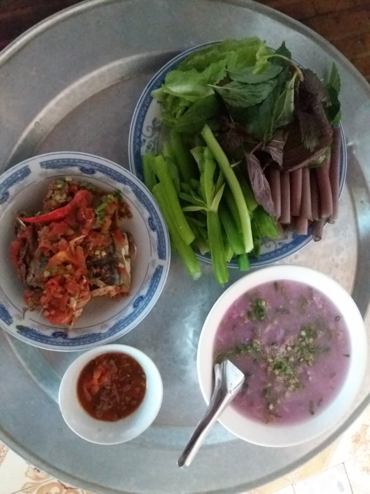20180608_111146.jpg