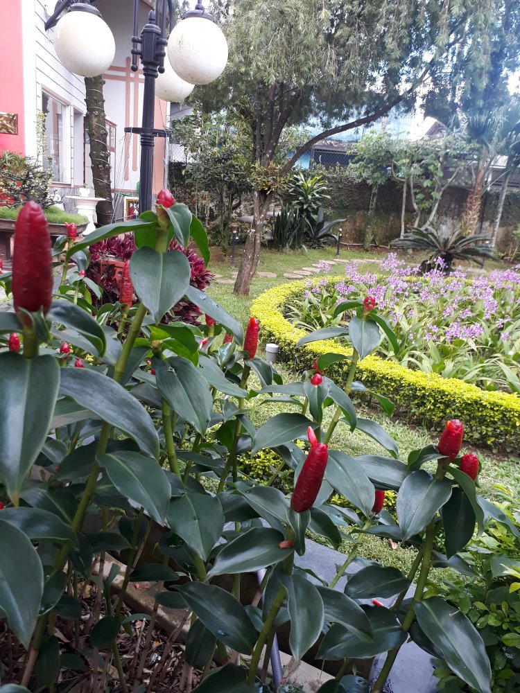 20180609_152712.jpg