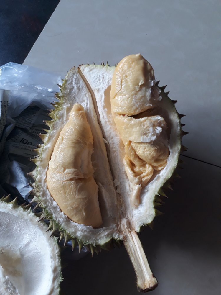 20180610_105416.jpg