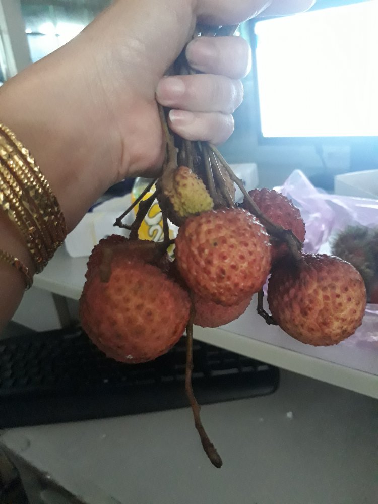 20180615_120502.jpg