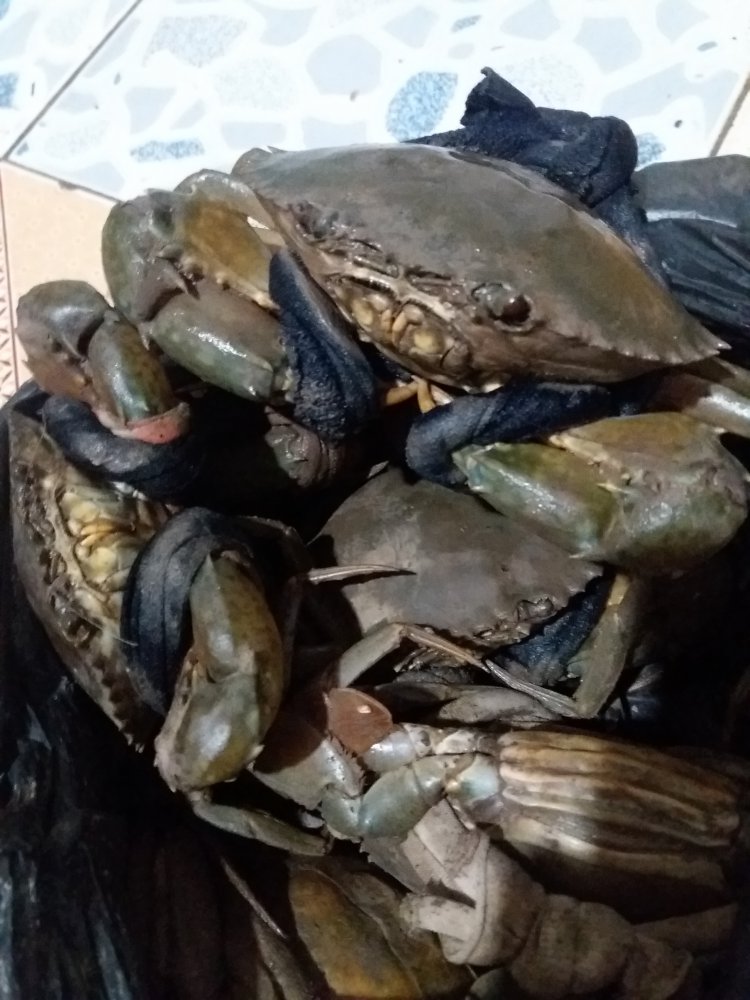 20180710_175947.jpg