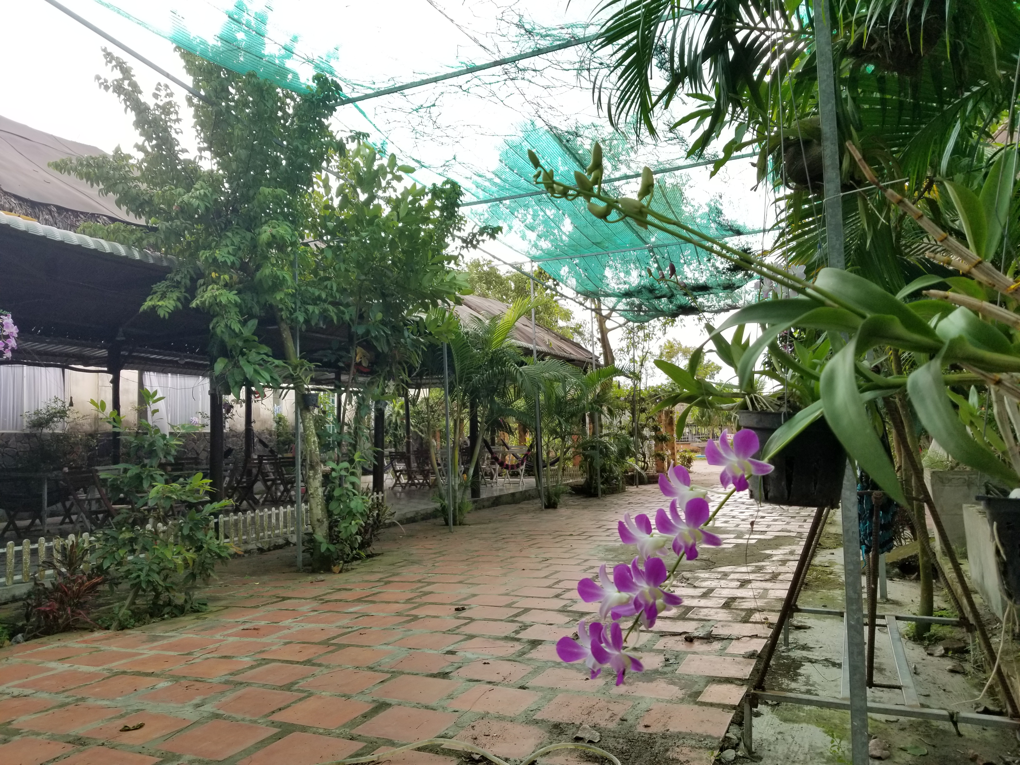 20181126_115215.jpg