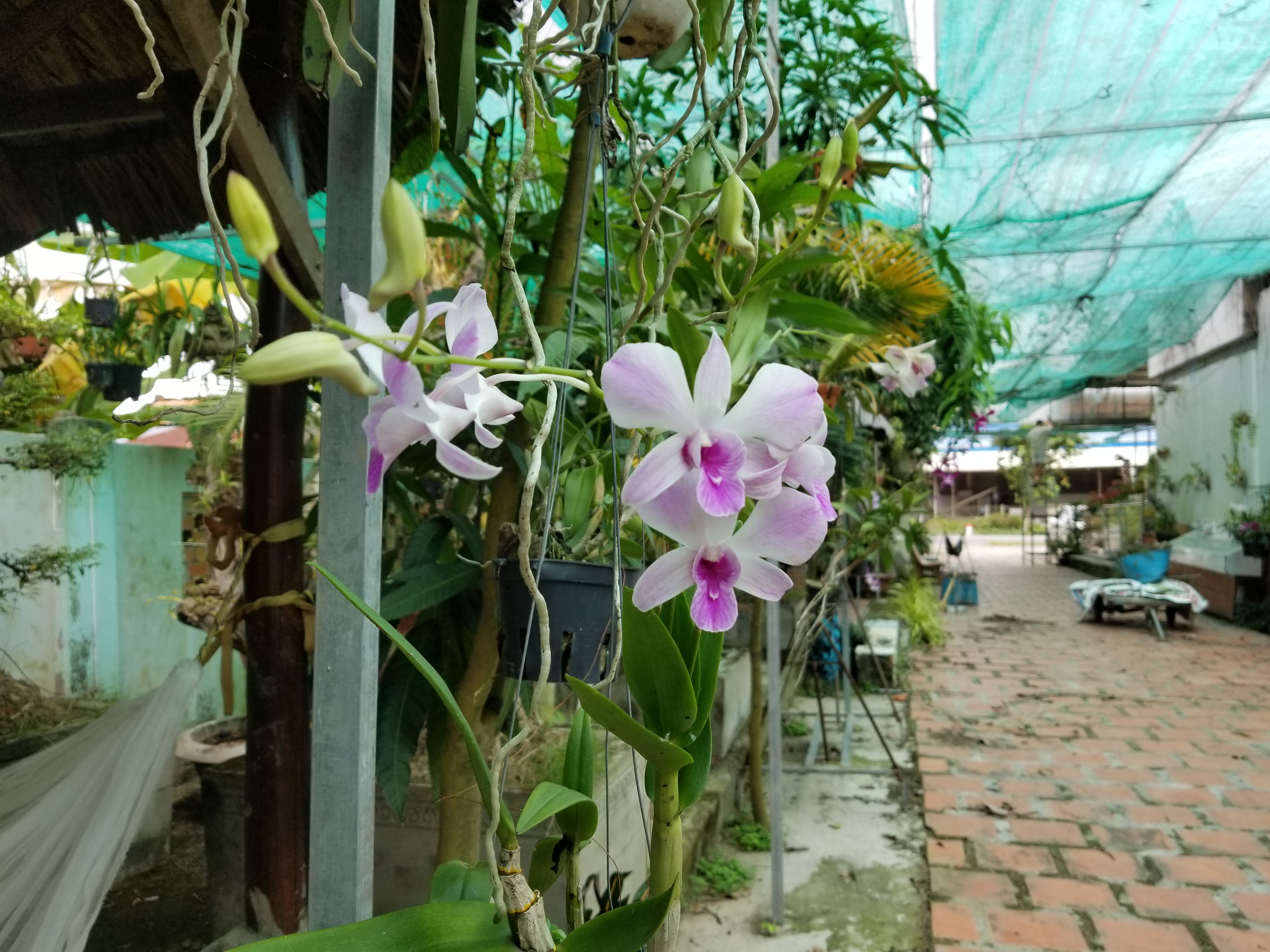 20181126_123031.jpg