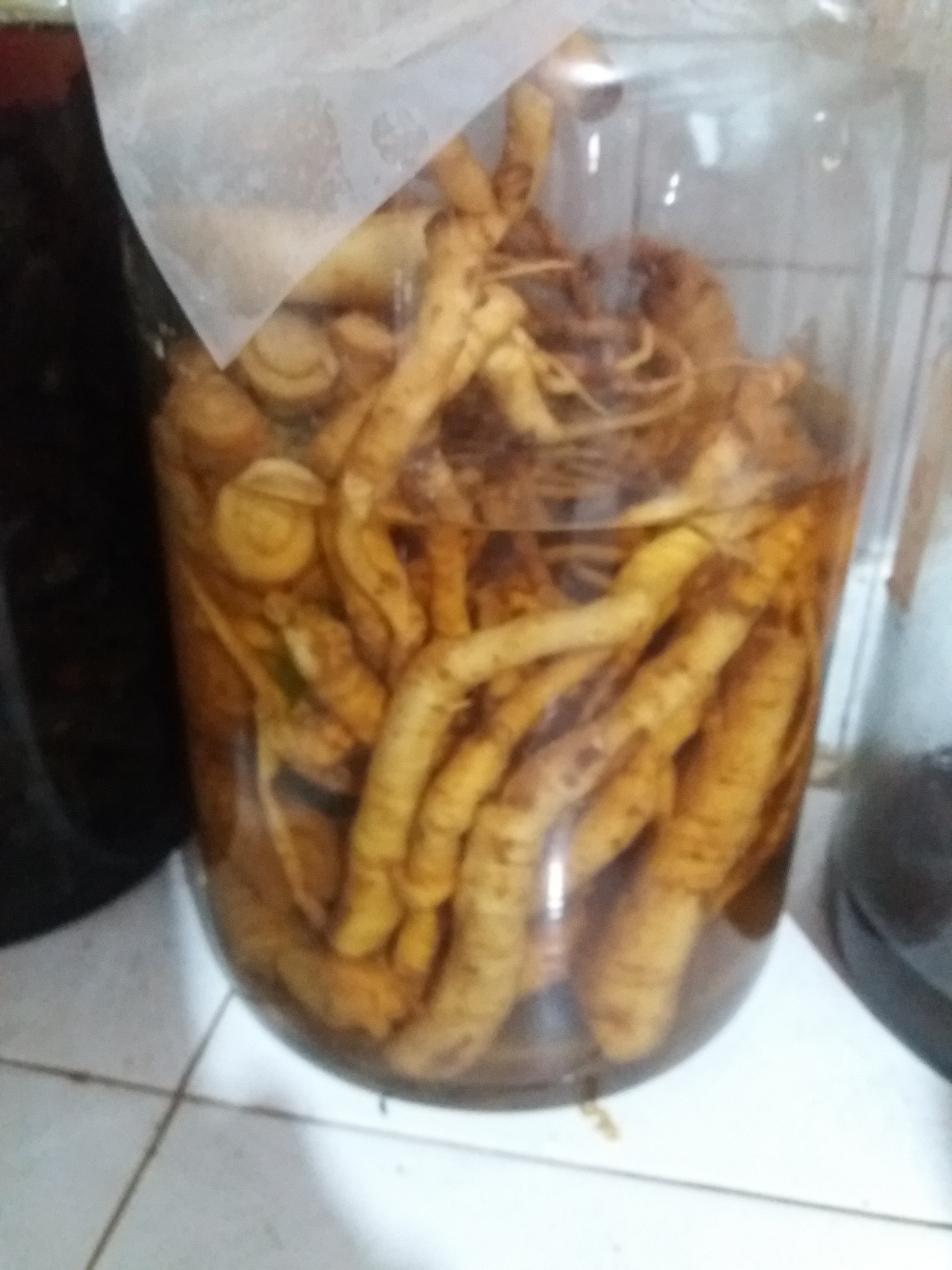 20181216_153058.jpg