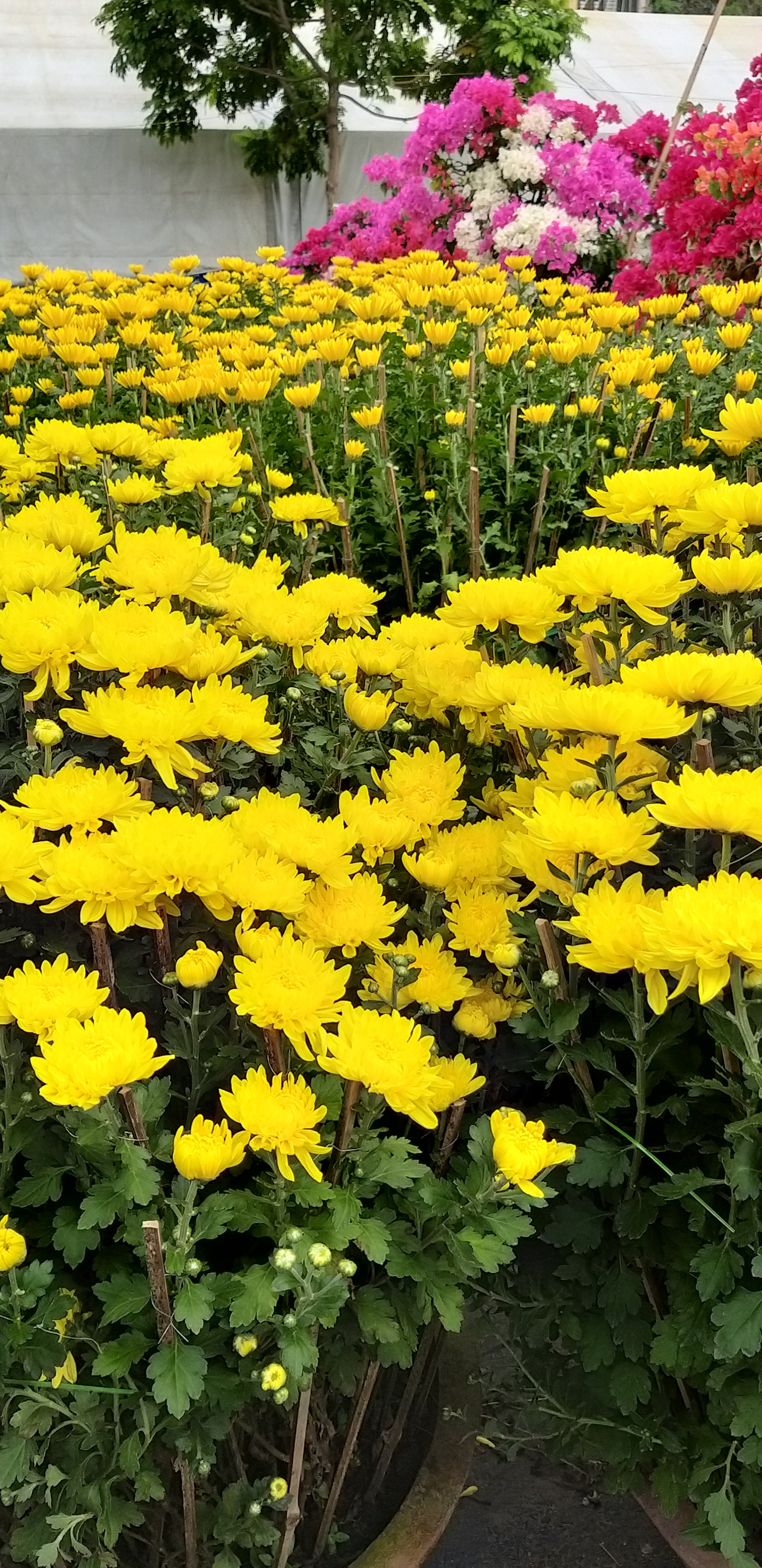 20190131_135943.jpg