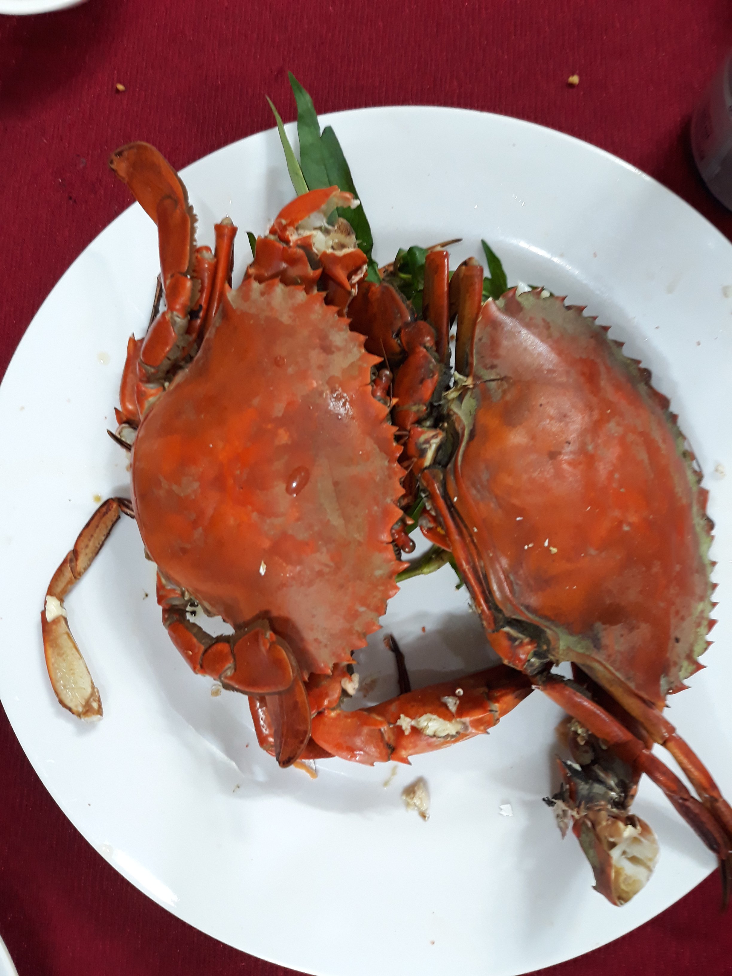 20190207_202817.jpg