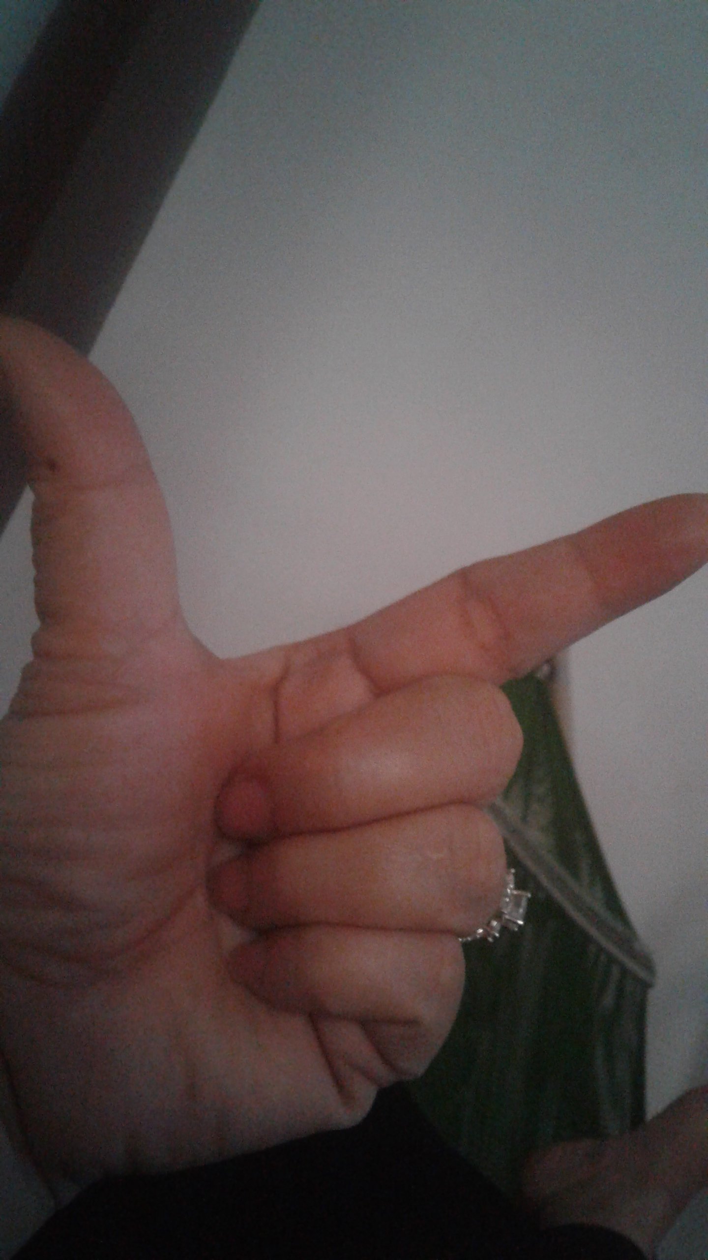 20190308_114500.jpg