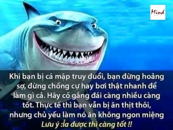 20190331_230010.jpg
