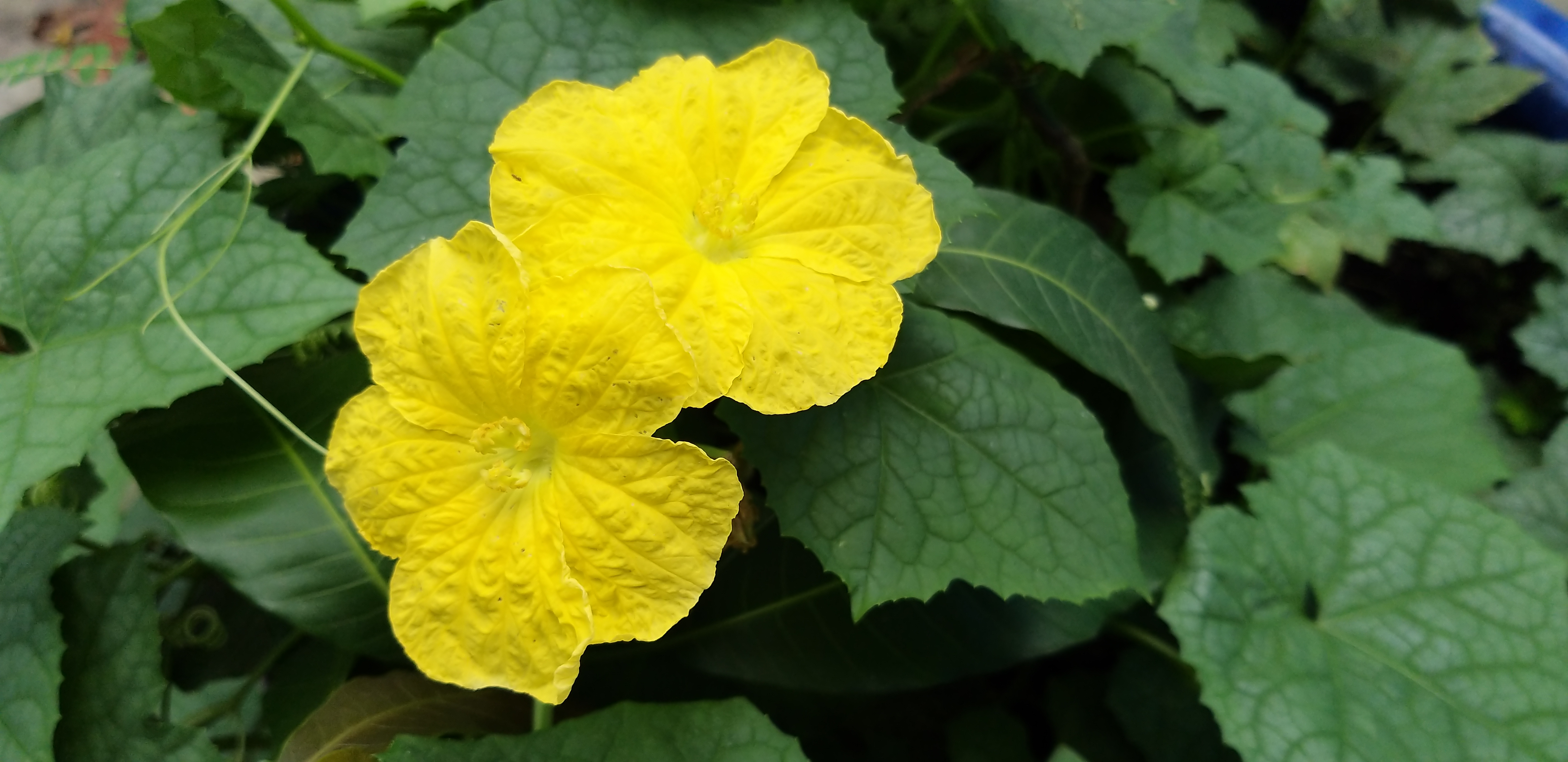 20190425_092338.jpg