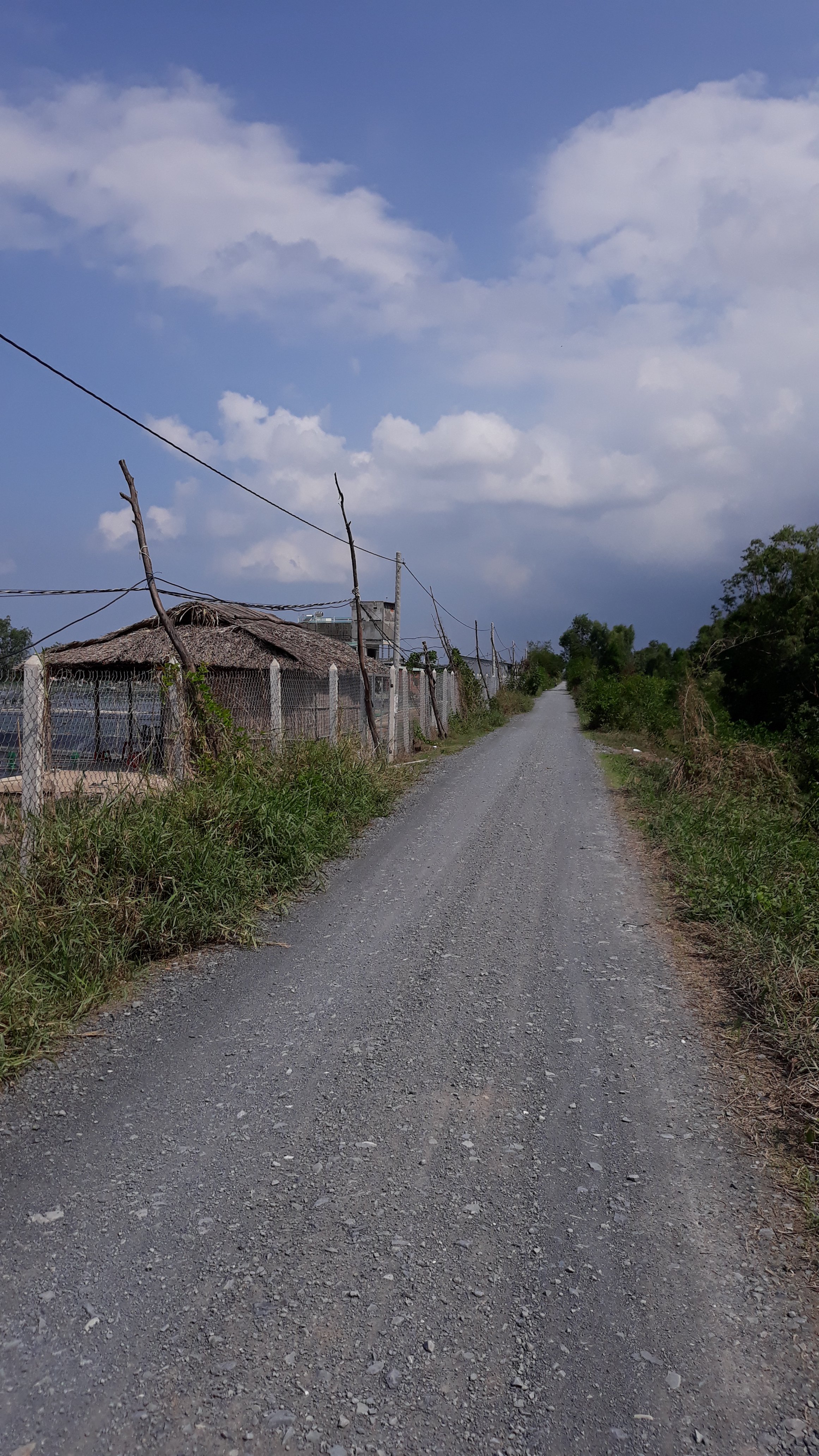 20190514_141930.jpg