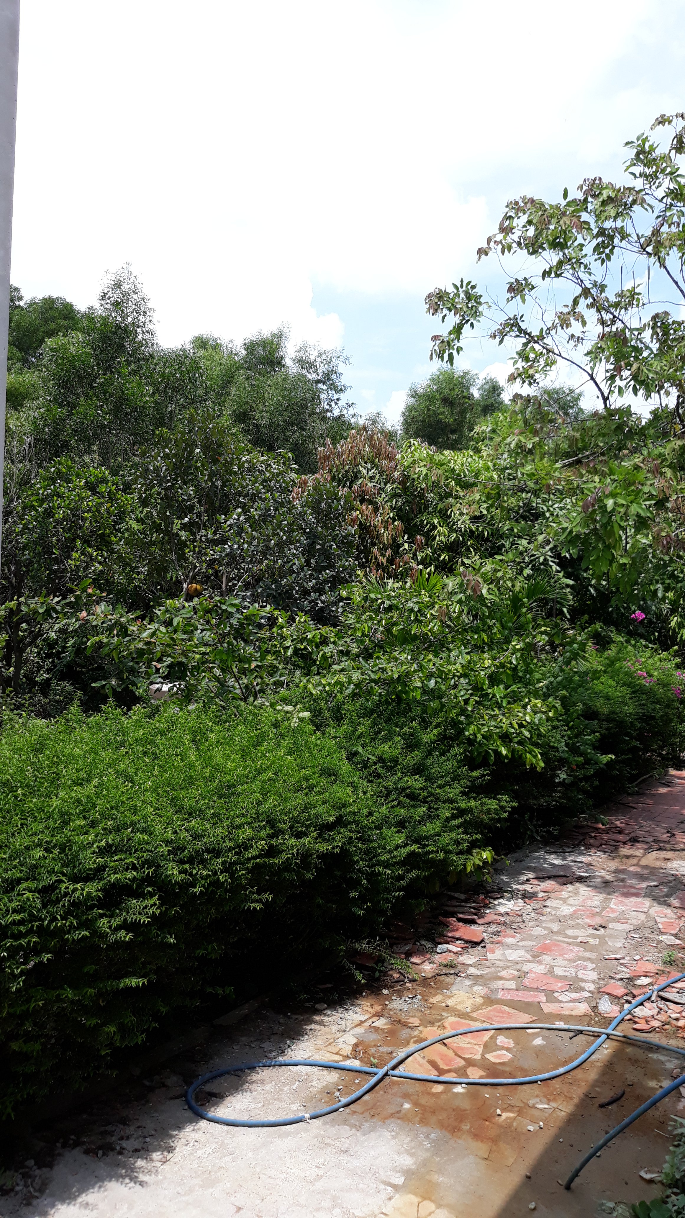 20190520_105515.jpg