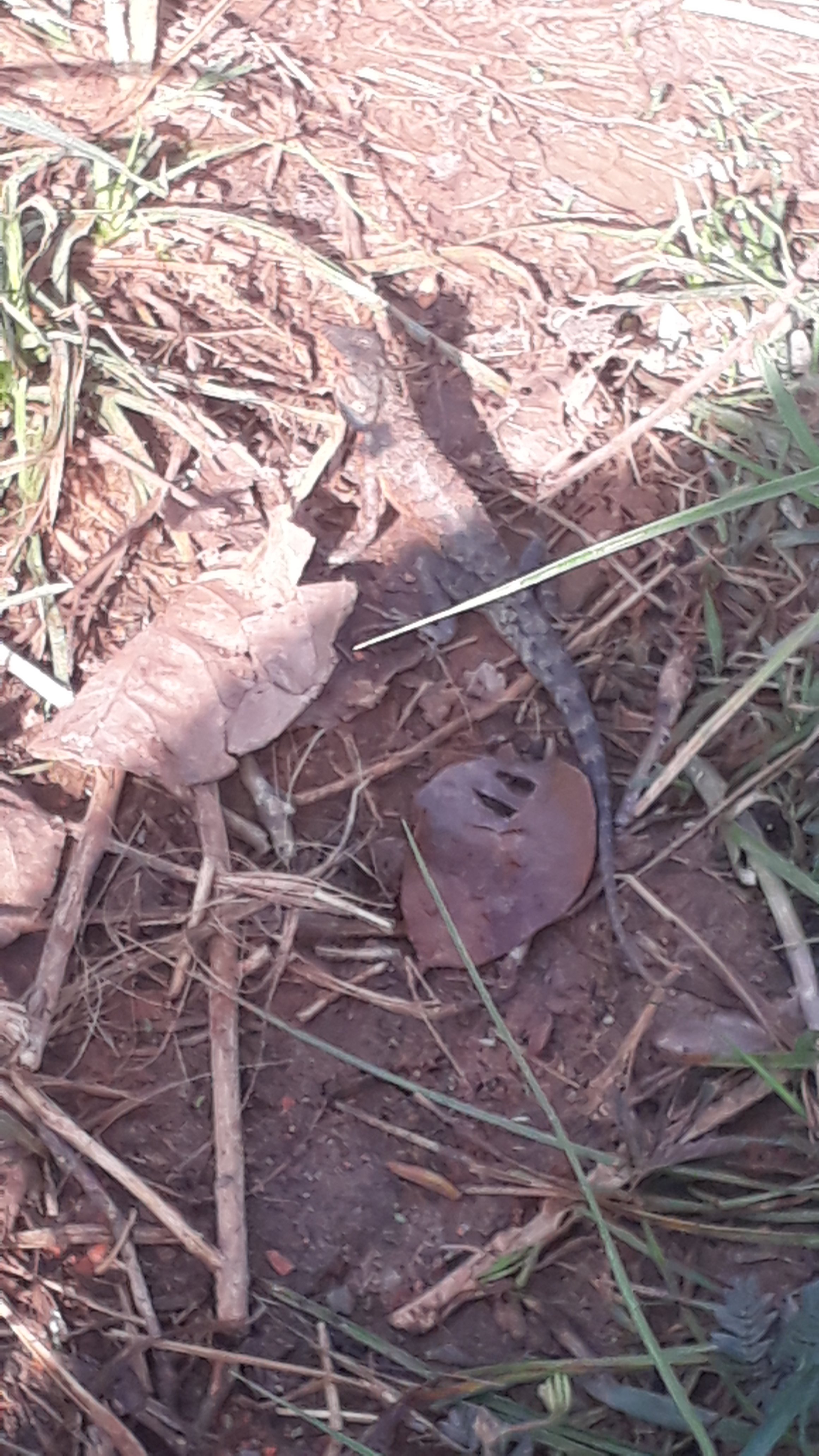 20190525_071957.jpg