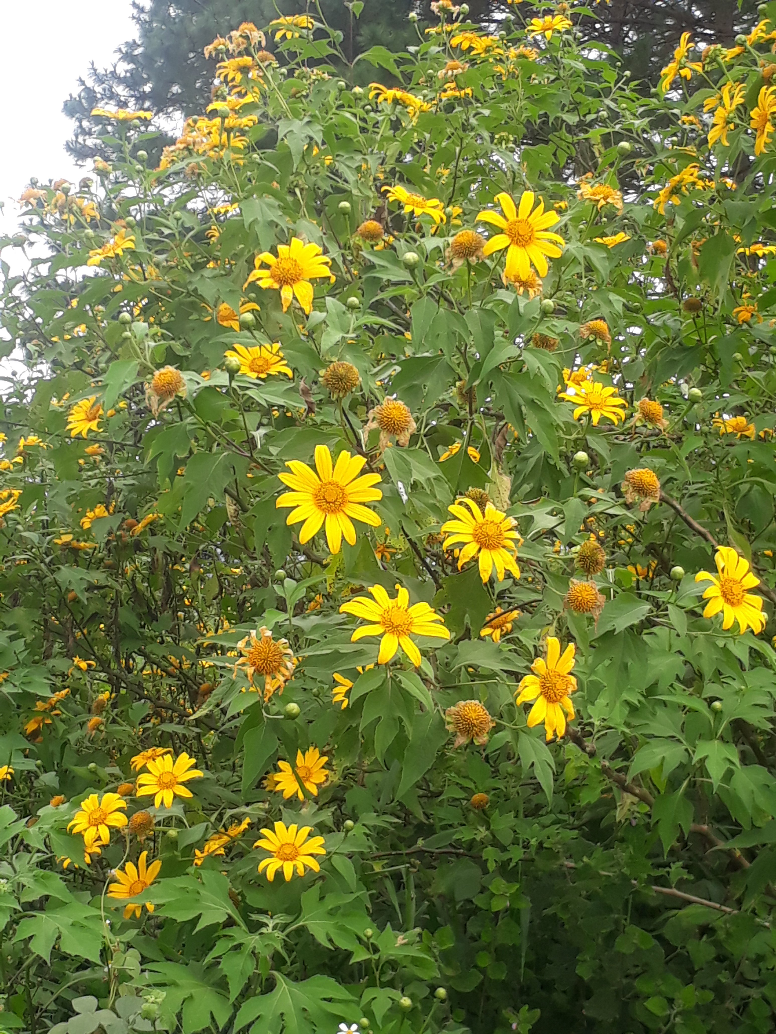 20191109_151422.jpg