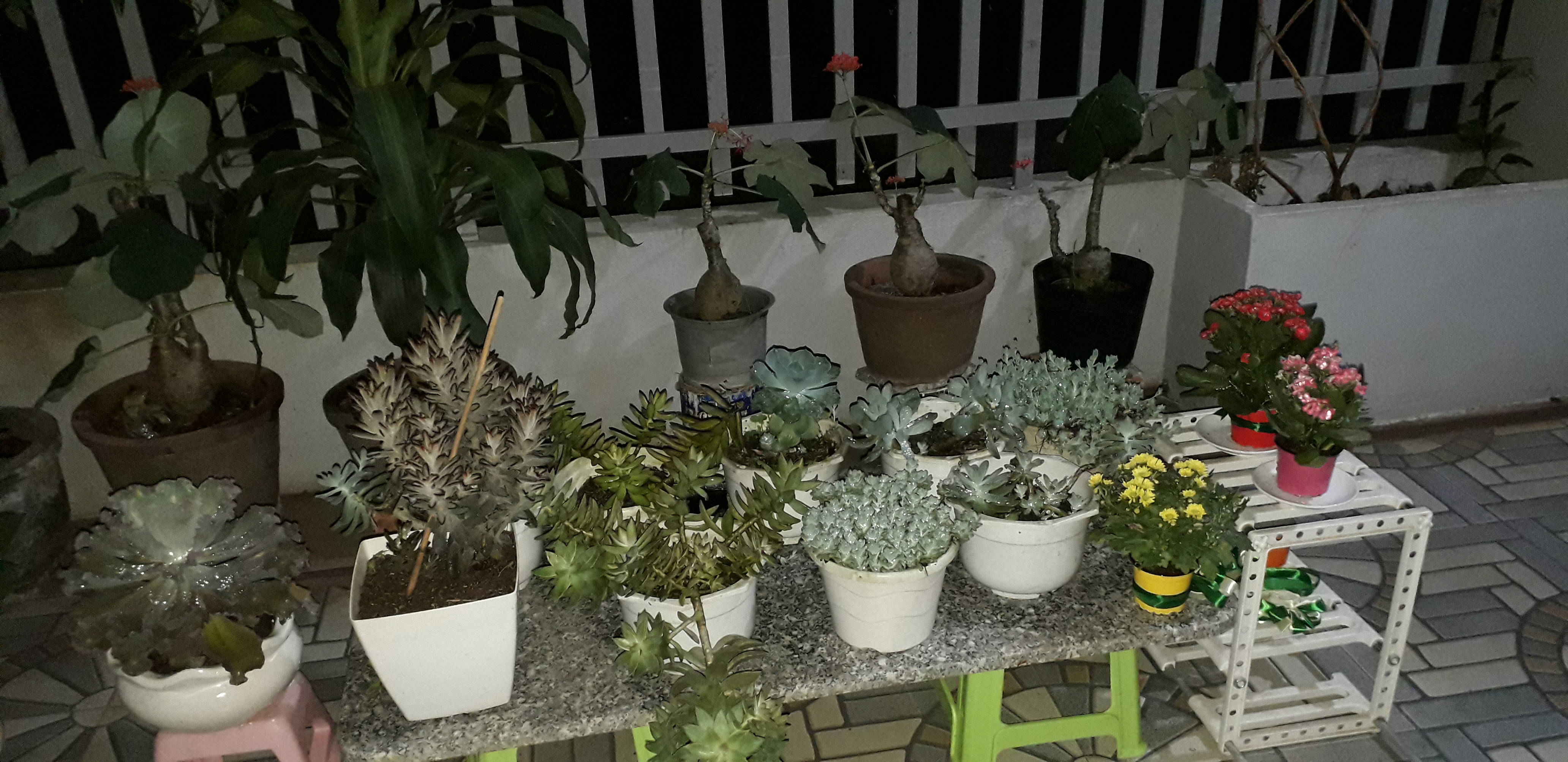 20201114_204911.jpg