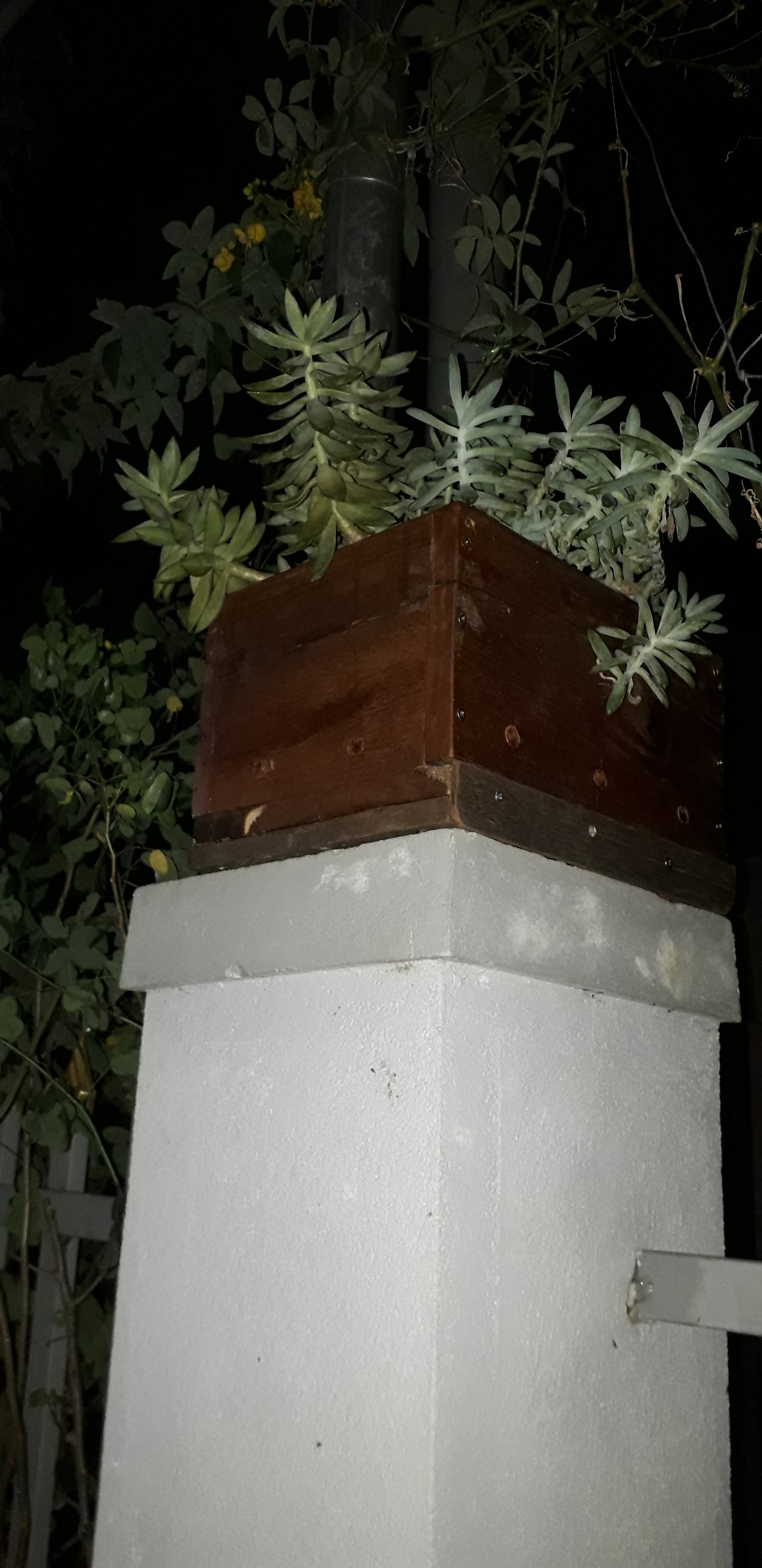 20210506_183750.jpg
