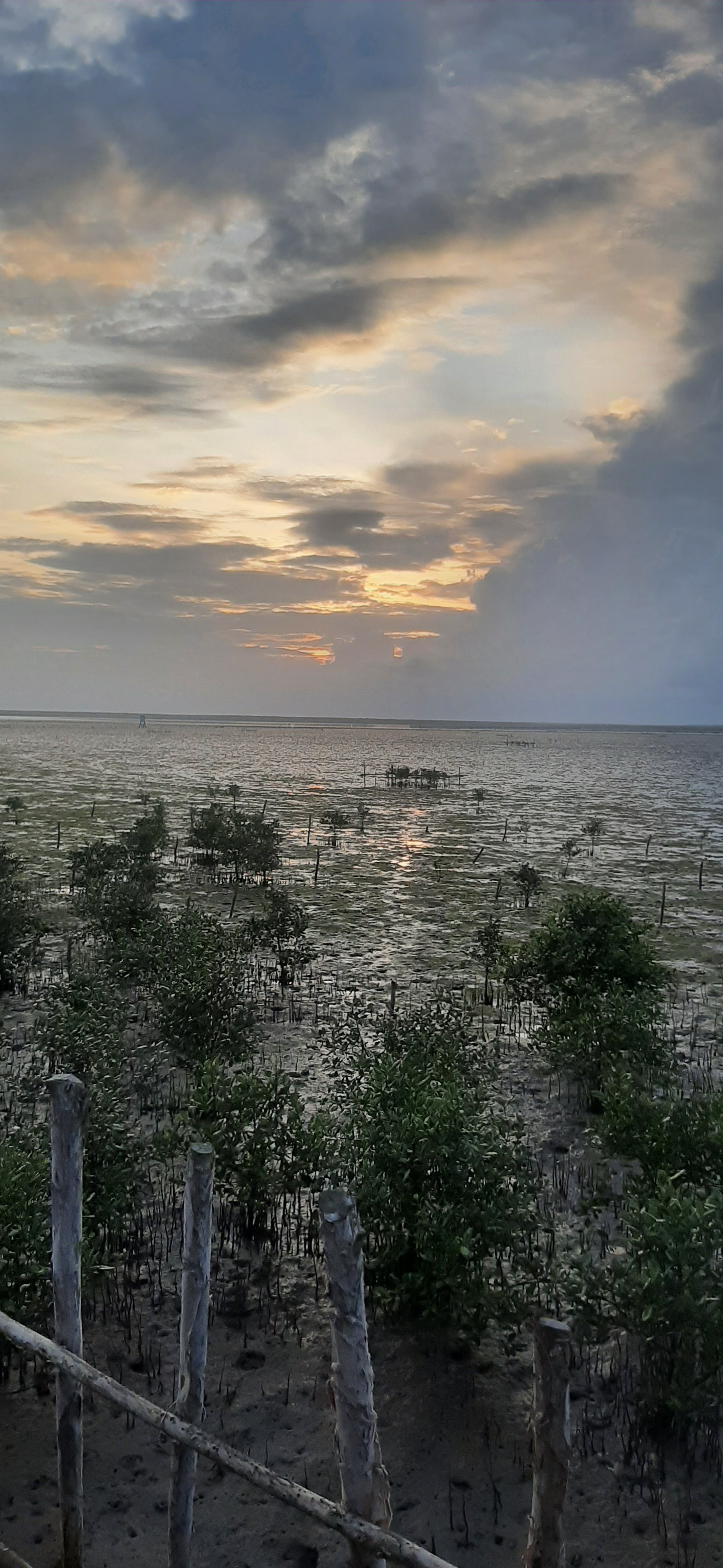 20250501_055534.jpg