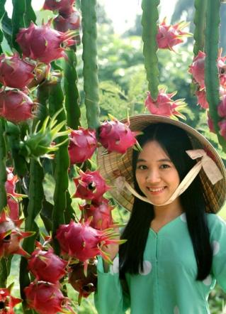 20904892_images1952091_long[1].jpg