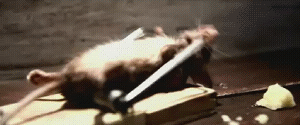 21lc01171151911.gif