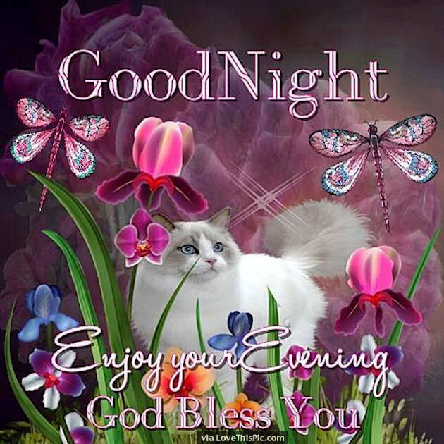 250260-Good-Night-Enjoy-Your-Evening.jpg