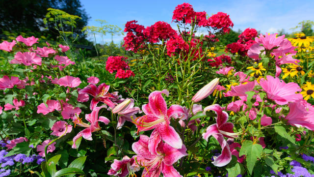 2507044_m3t1w640h360q75s1v11432_shsphotography_fotolia[1].jpg