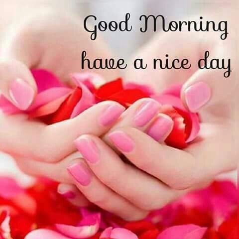 259015-Good-Morning-Hope-You-Have-A-Nice-Day.jpg